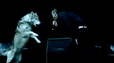 Cancer Bats - Hail Destroyer
